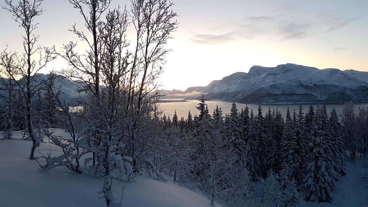 Willa Slettvold Lyngen Svensby Zewnętrze zdjęcie